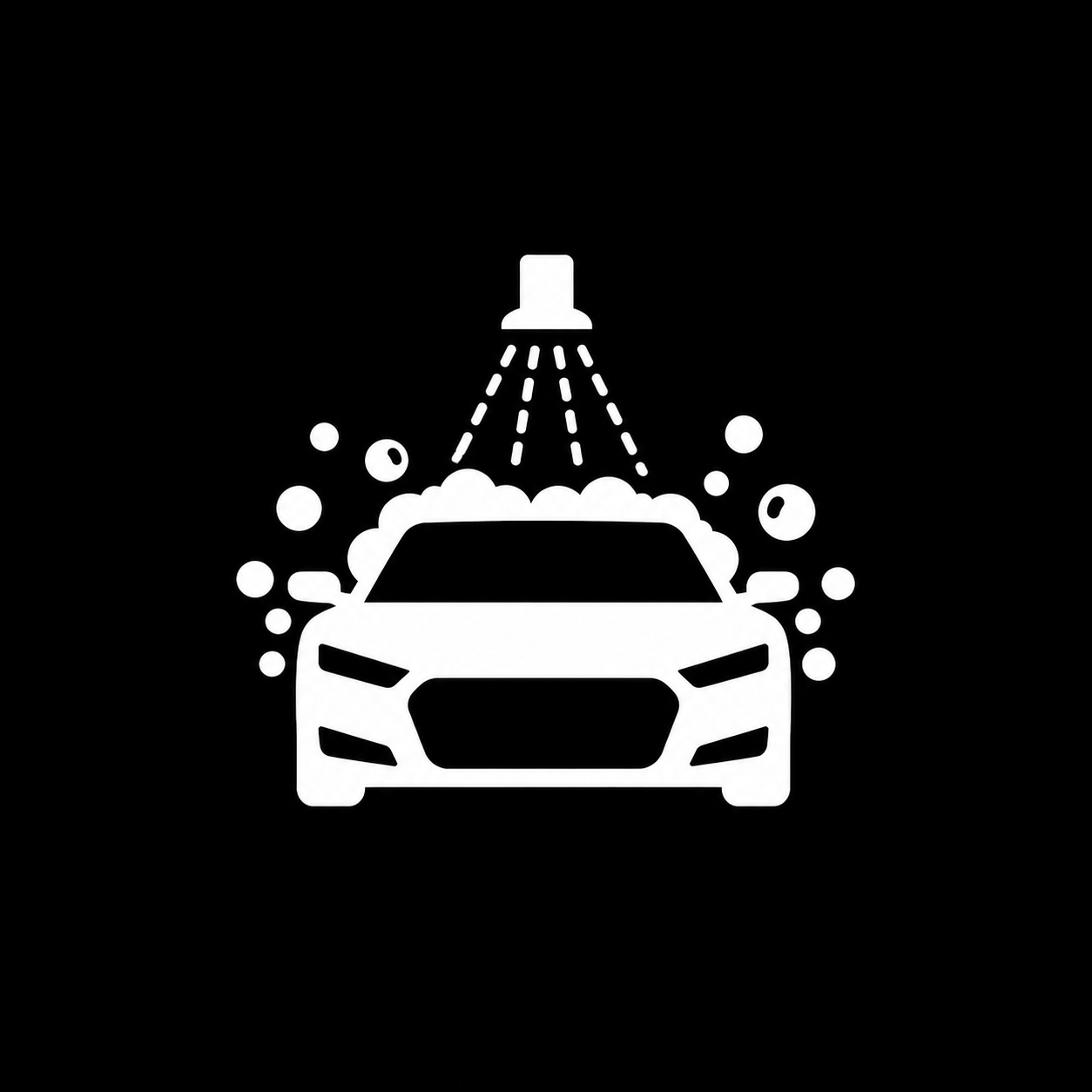 Vehicle Detailing
